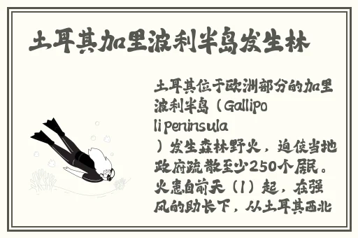 老BWBWBWBWBW对欢迎您